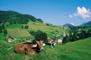 Botón de imagen sin clasificar, 5 de 49