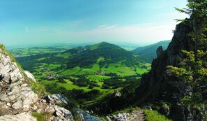 Botón de imagen sin clasificar, 2 de 49