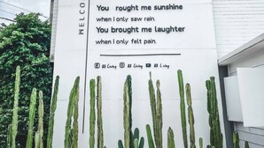 Une pancarte d’accueil avec du texte et des cactus devant.