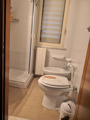 Free toiletries, hair dryer, bidet, towels