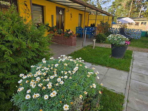 Imagen sin descripción, 1 de 18, botón