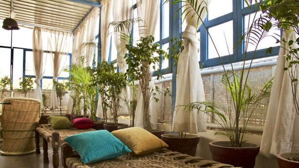 A room with a woven bench, potted plants, and a view through large windows. - goStops Jodhpur - Hostel (Jodhpur)