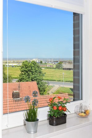 Imagen sin descripción, 4 de 24, botón