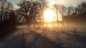 Un paisaje nevado con una valla y árboles, y el sol es visible al fondo.