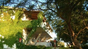 Un bâtiment partiellement recouvert de lierre, dont l’architecture est clairement visible, et un chemin qui y mène.