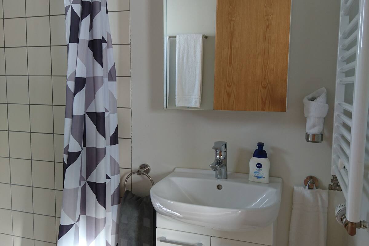 shower, free toiletries, hair dryer, towels