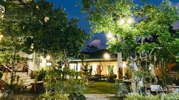 A courtyard with a staircase leading to a building, surrounded by lush greenery and illuminated by street lamps. - Panida Goodwill (Nong Hin)