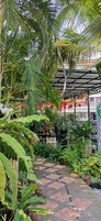 Vista al jardín
