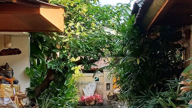 Un étroit sentier pavé, bordé d’une végétation luxuriante et de plantes en pot, mène à un bâtiment doté d’un toit en tuiles et d’un petit sanctuaire.