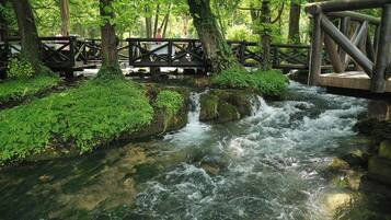 Un puente de madera sobre un arroyo que serpentea en un bosque.