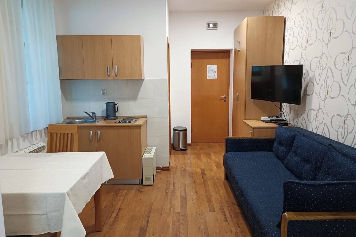 A compact room with a kitchenette, a dining table, a sofa, and a TV.