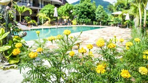 Zona de piscina con vista despejada, rodeada de exuberante vegetación y un edificio con balcón.