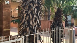 Property entrance - Comfort & Balcony near Beach by FeelHome (Tel Aviv)