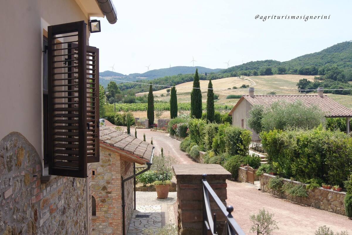 Appartement, 1 chambre (4 Pax) | Vue de la chambre