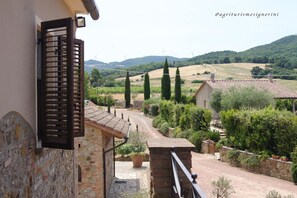 Apartment, 1 Bedroom (4 Pax) | View from room