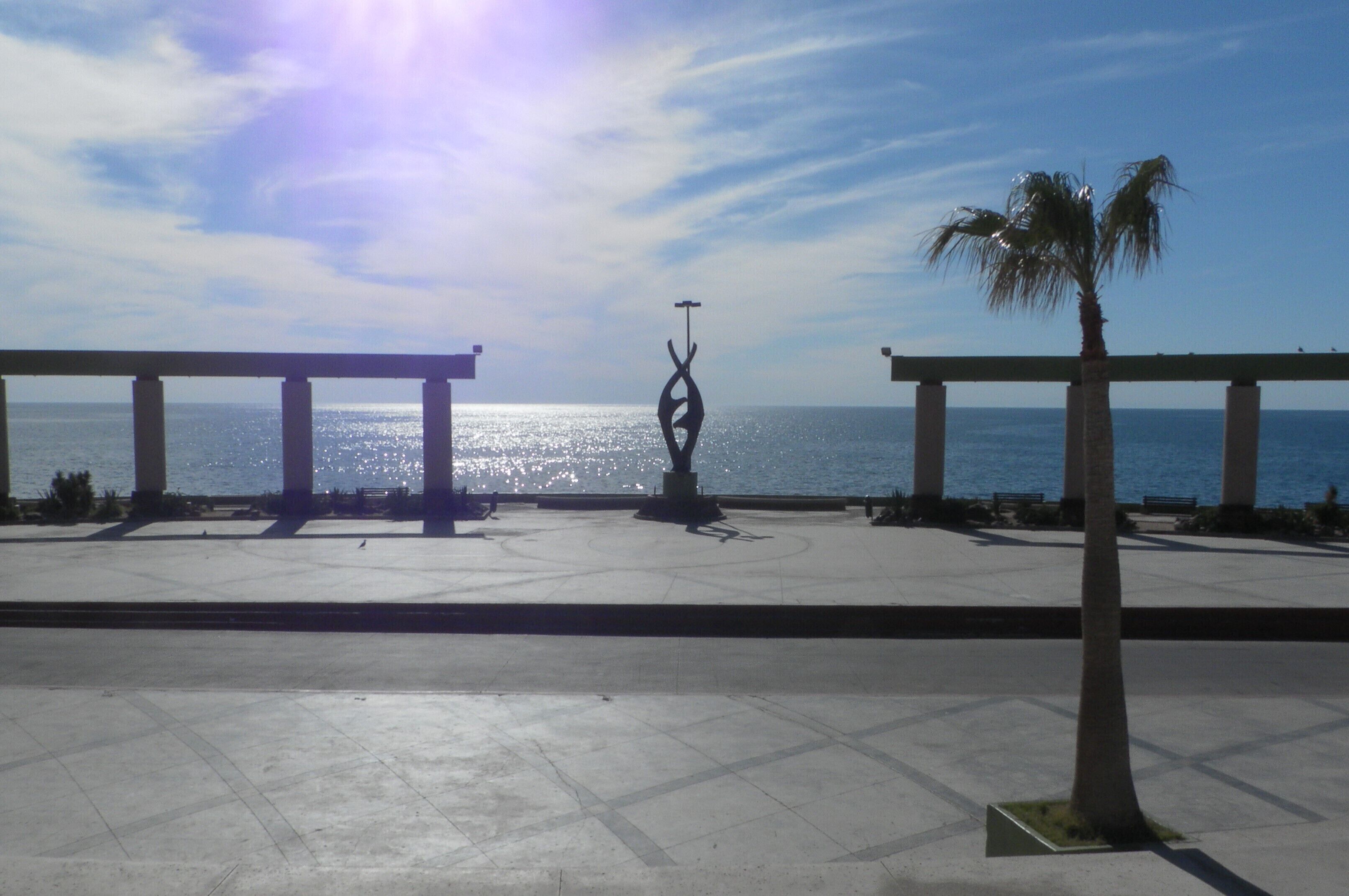 A coastal promenade with a palm tree, benches, and a sculpture.