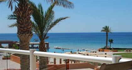 Ground Floor - 2 Master bedrooms - Huge Private Patio -next door also renting