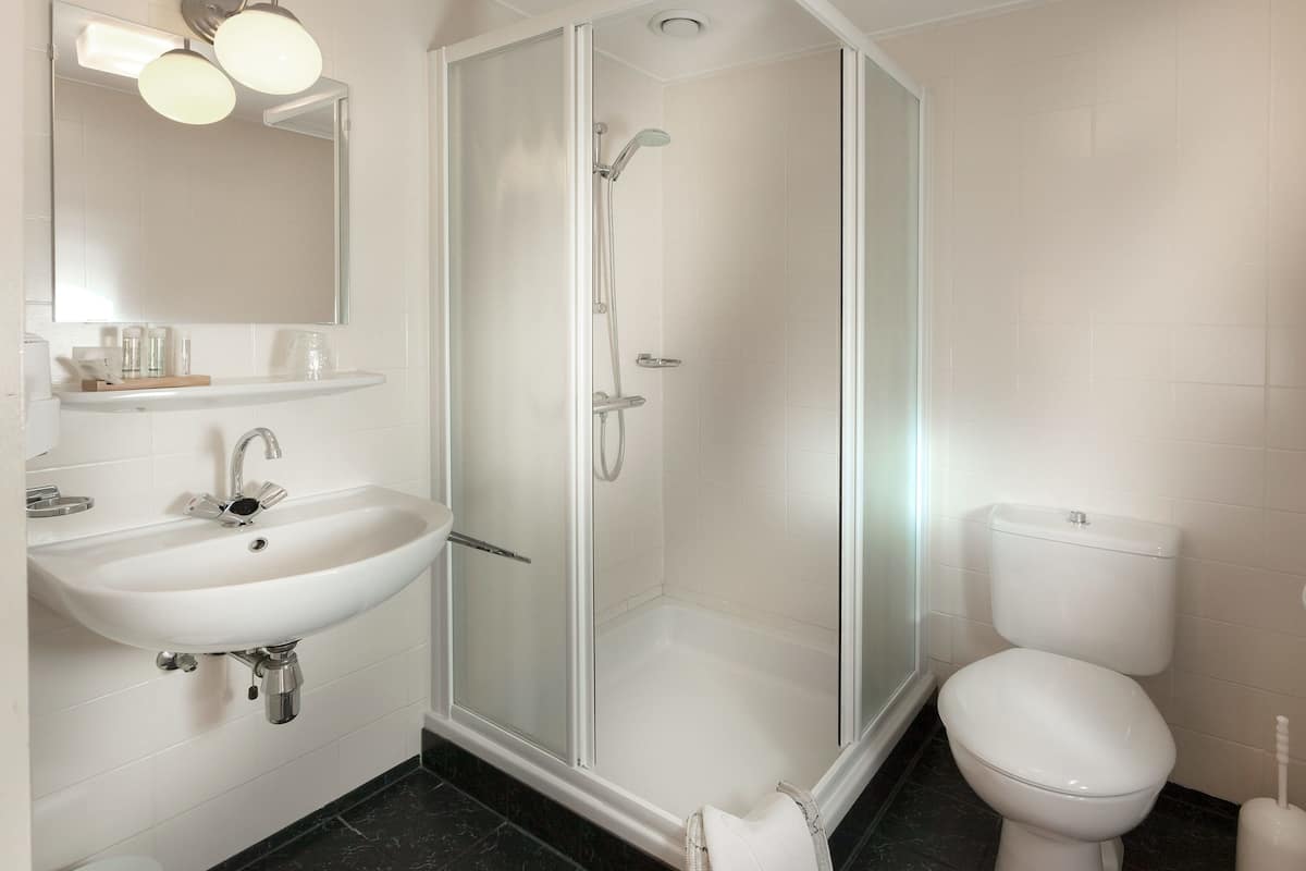 shower, free toiletries, hair dryer, towels