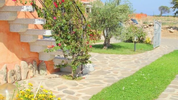 A stone pathway leading to a building with a stone wall and a small garden with yellow flowers and a tree with pink flowers. - Villa Stella Maris (Budoni)