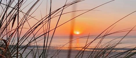 Accommodatie ligt op het strand