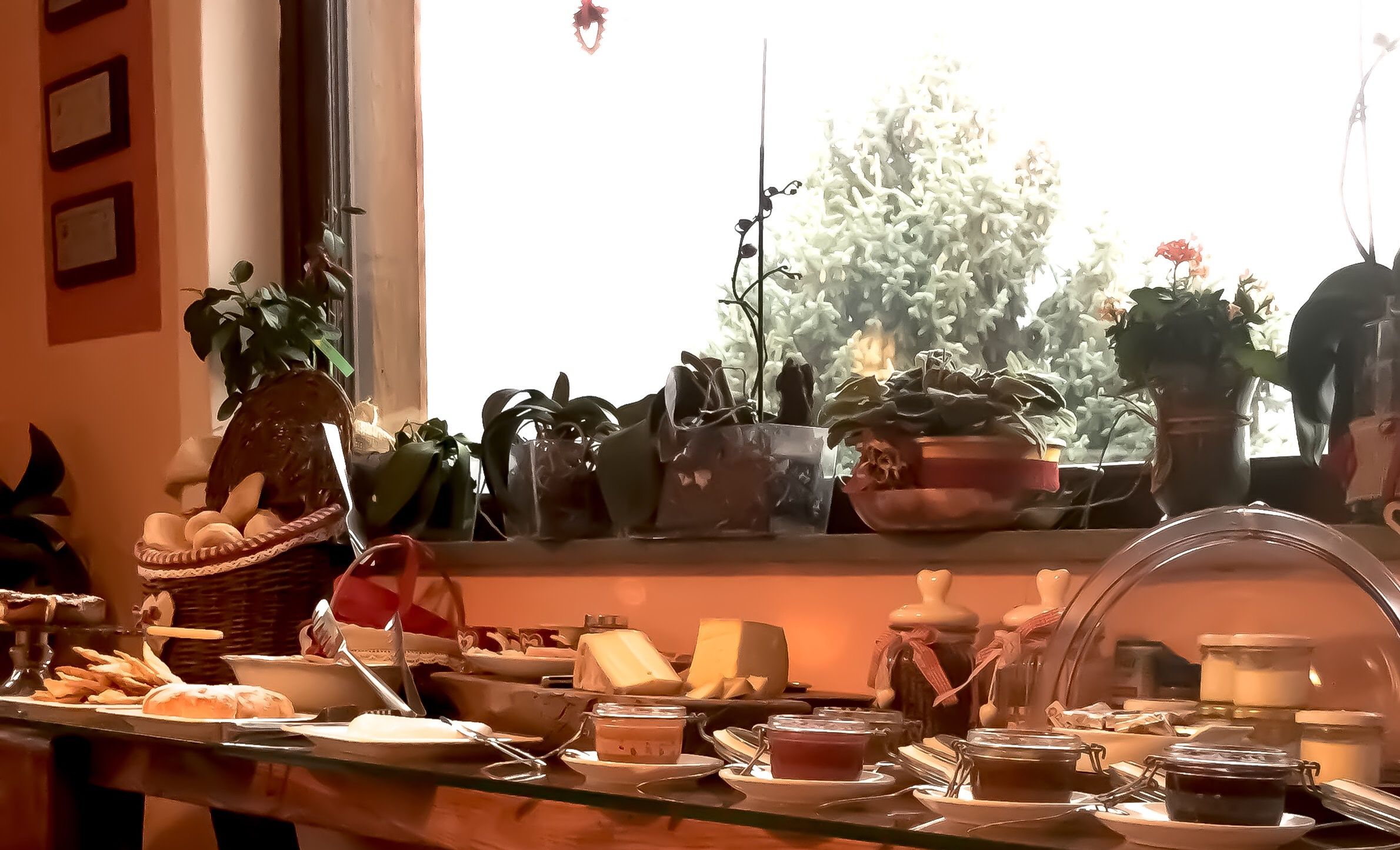 Una mesa de buffet con diversos alimentos y condimentos, rodeada de plantas en macetas.