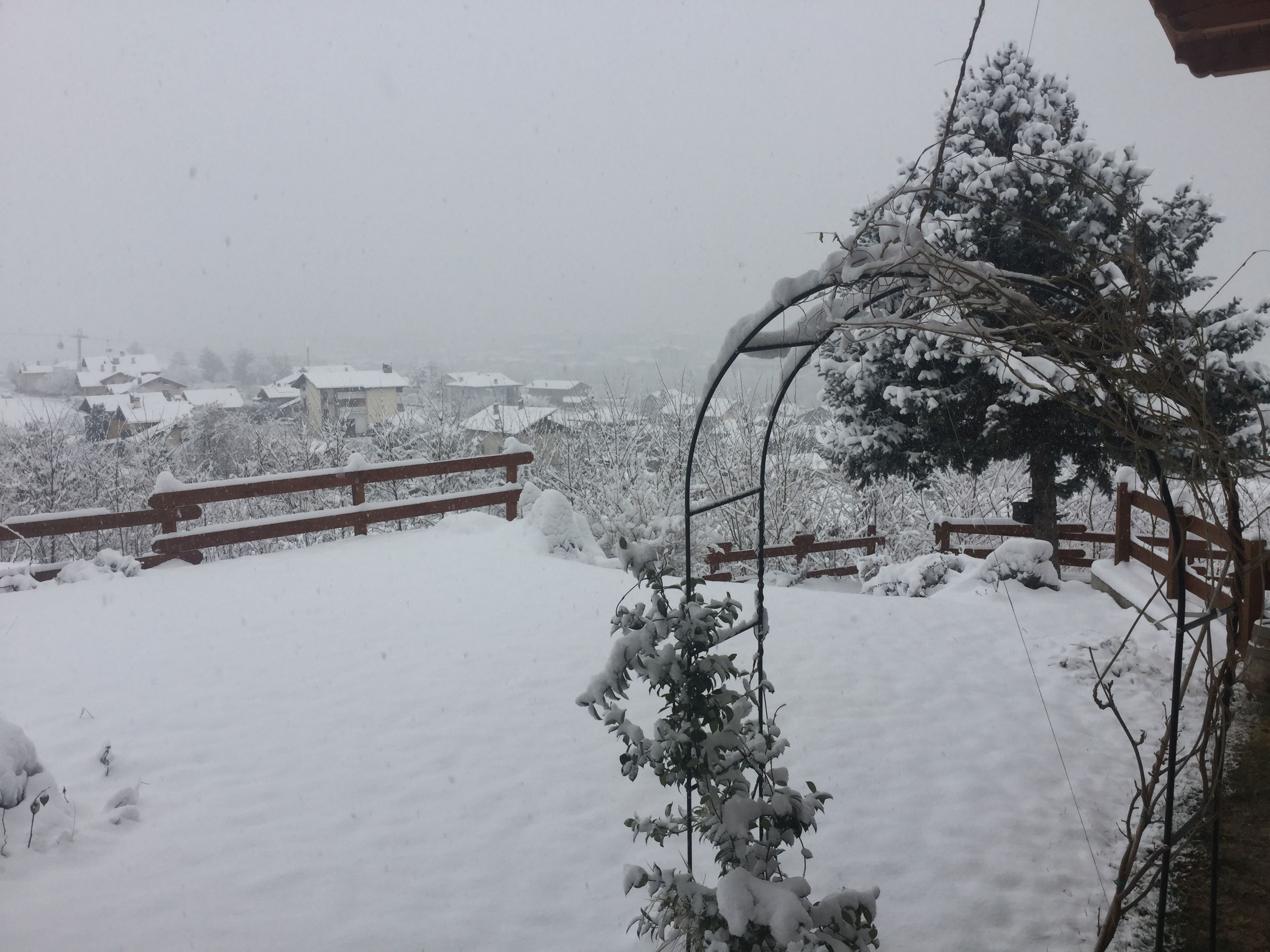 A snowy landscape with a wooden fence and a snow-covered tree.