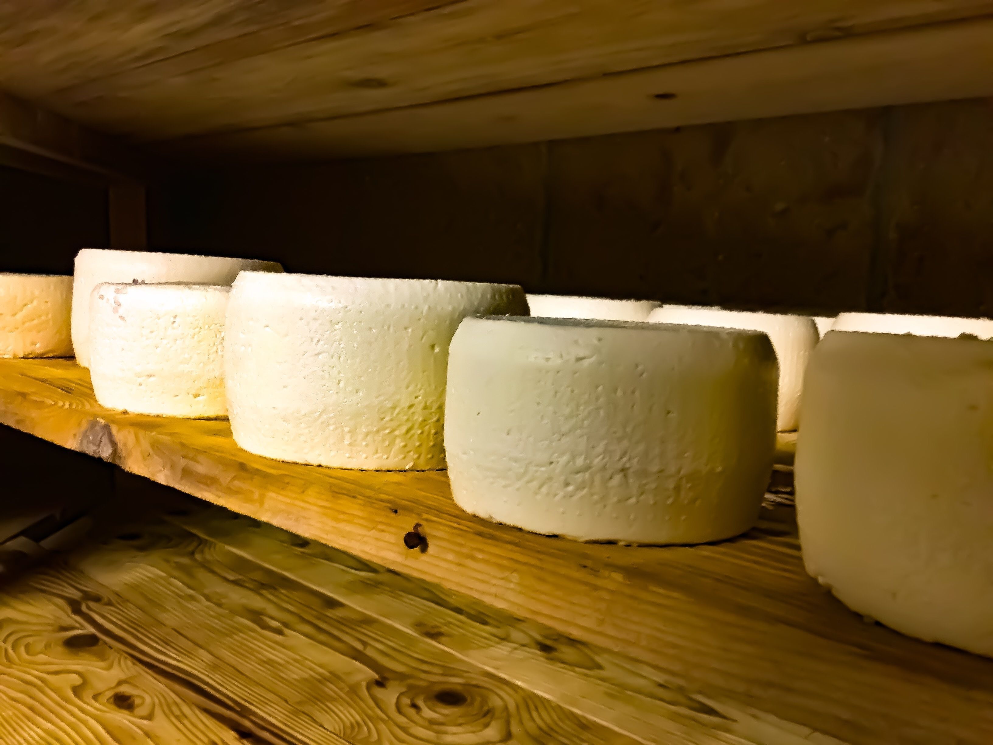 Une étagère en bois sur laquelle reposent plusieurs gros blocs blancs, probablement du fromage, dans une pièce à la lumière tamisée.