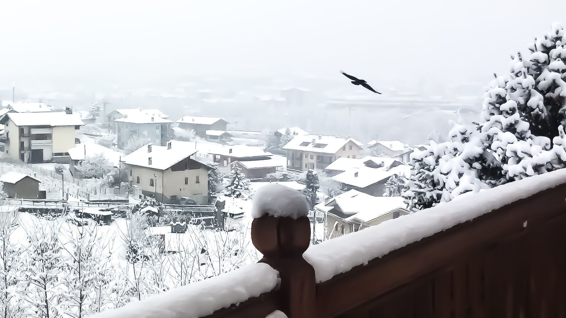 Ein verschneiter Wohnbereich mit Häusern und einem Vogel am Himmel.