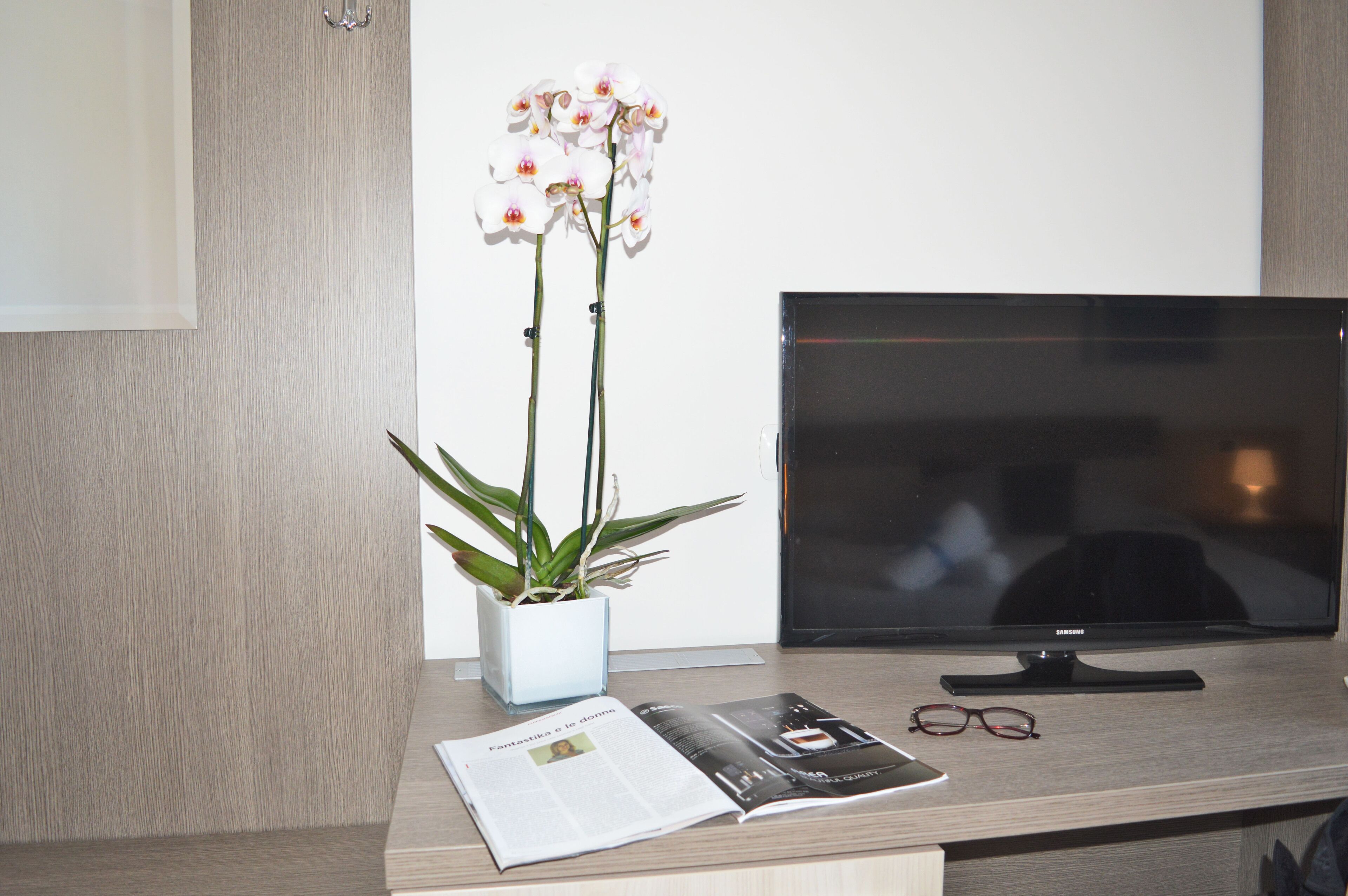 standard triple room, balcony | television