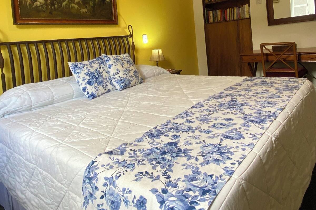 Minibar, escritorio, wifi gratis y ropa de cama 