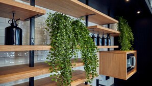 Étagères en bois ornées de plantes vertes suspendues et d’appareils de cuisine noirs.