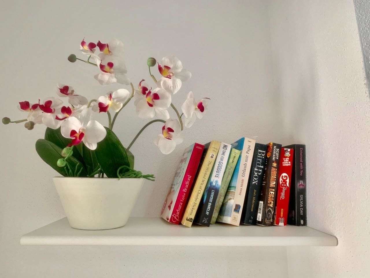 A white potted orchid plant with white and red flowers on a white shelf next to a row of books.