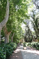 Uma passagem pavimentada, ladeada por árvores e vegetação, que conduz a uma entrada de edifício.
