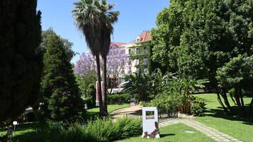 Un jardín exuberante con un sendero, palmeras y un edificio con paredes cubiertas de hiedra al fondo.