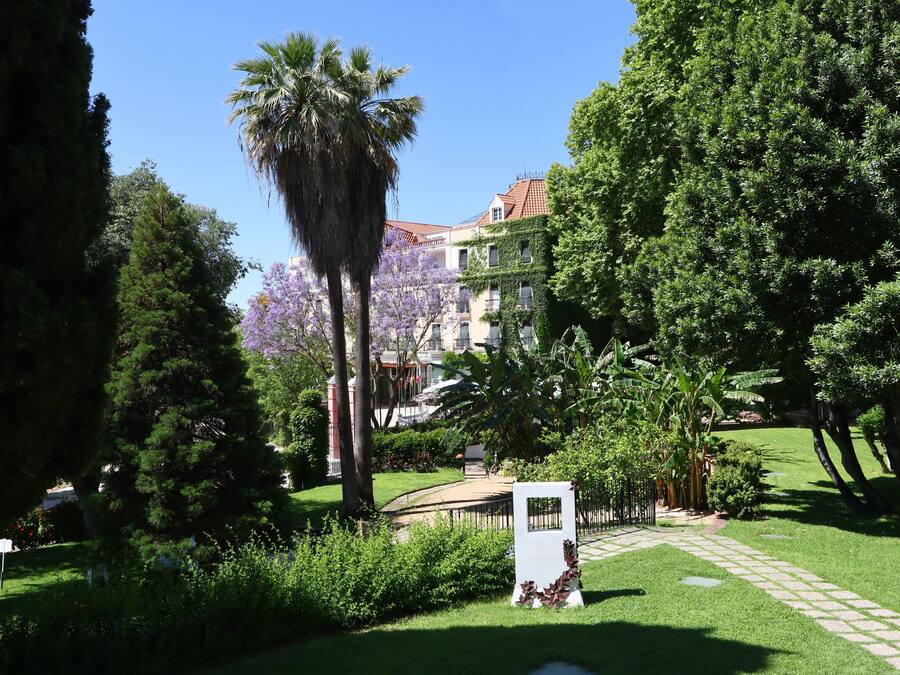 Un jardín exuberante con un sendero, palmeras y un edificio con paredes cubiertas de hiedra al fondo.