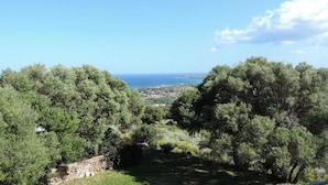 Blick auf eine Küstenlandschaft mit dichtem Grün und im Hintergrund Meer und eine Stadt.
