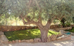 Stroll through the serene garden, surrounded by a mature olive tree and a well-manicured lawn.
