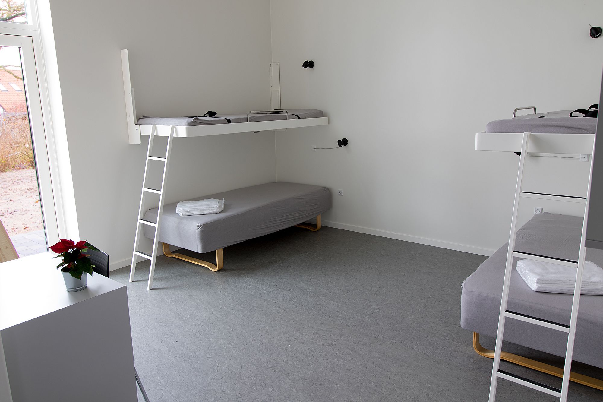 A dorm-style room with bunk beds, a small desk, and a potted plant.