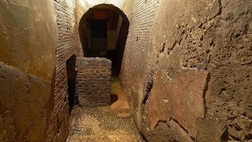 A narrow, arched brick passageway with a stone step leading to a darker interior.