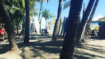 Una zona de playa arenosa con palmeras y tablas de surf.