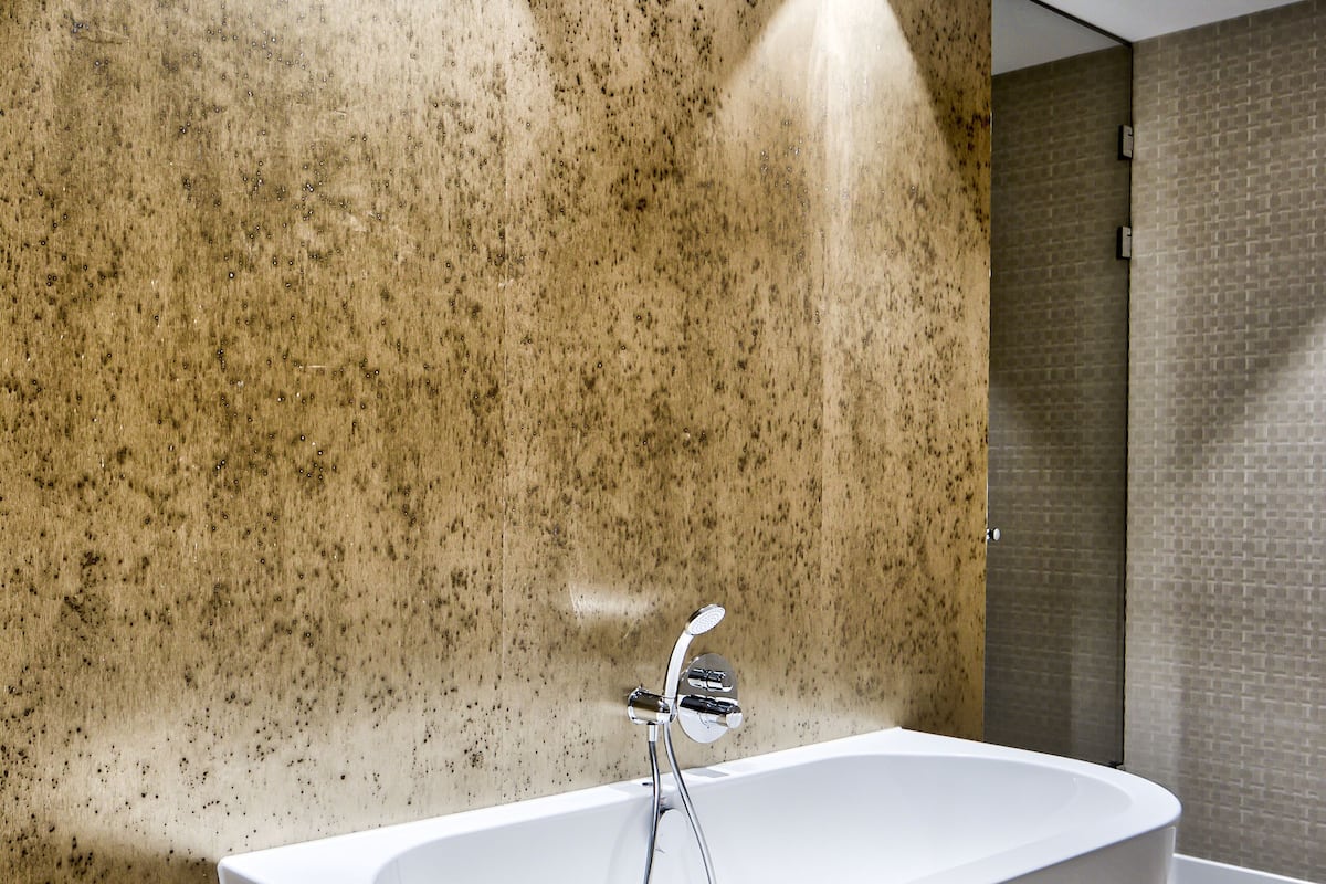 executive suite | deep-soaking bathtub