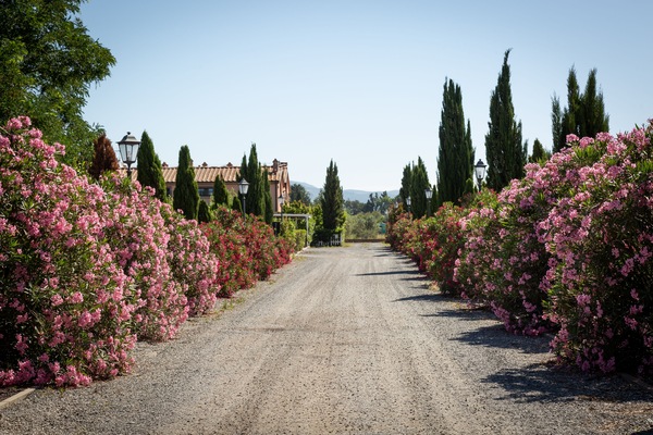 Vista dalla camera