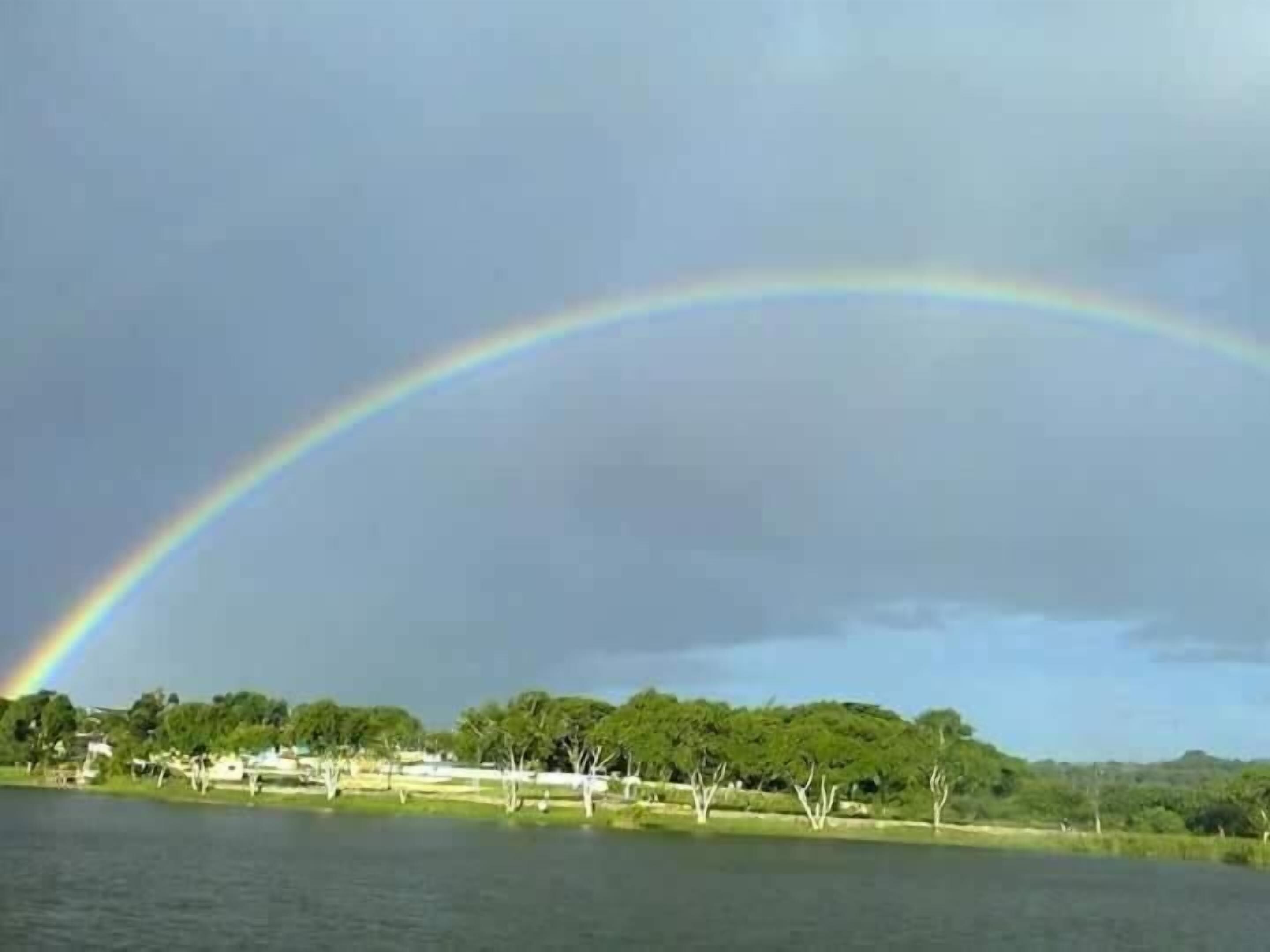 Een landschap met een regenboog boven een waterpartij, bomen en gebouwen op de achtergrond.