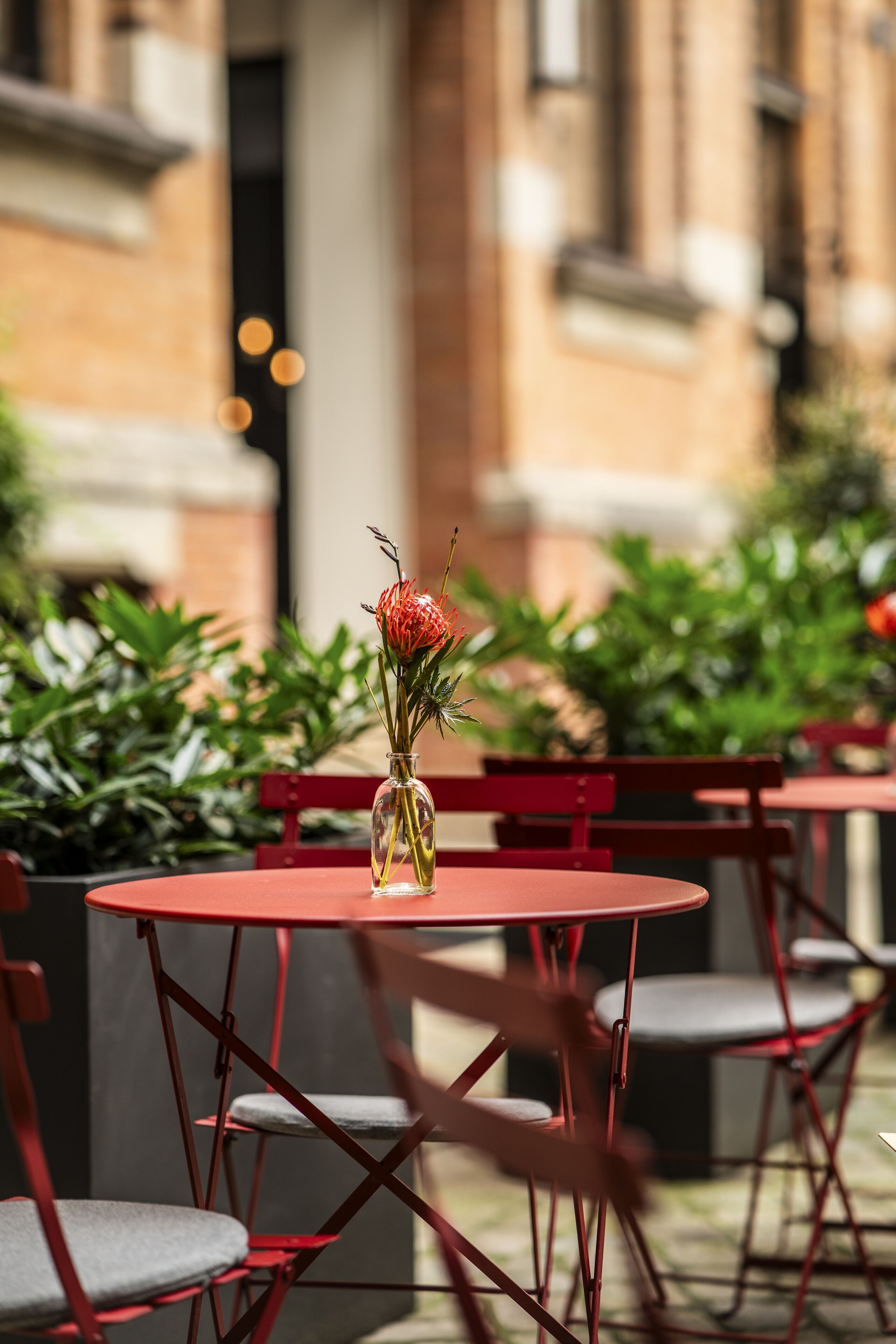 3 restaurants, french cuisine