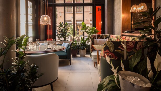 A cozy indoor seating area with a round table, chairs, and potted plants. - TORTUE HAMBURG (Hamburg)