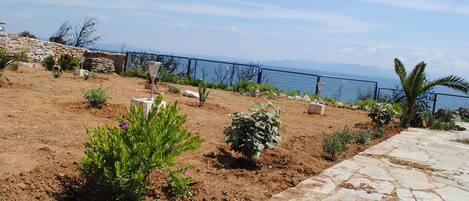 Un jardín con diversas plantas y un sendero de piedra que lleva a una vista del mar.