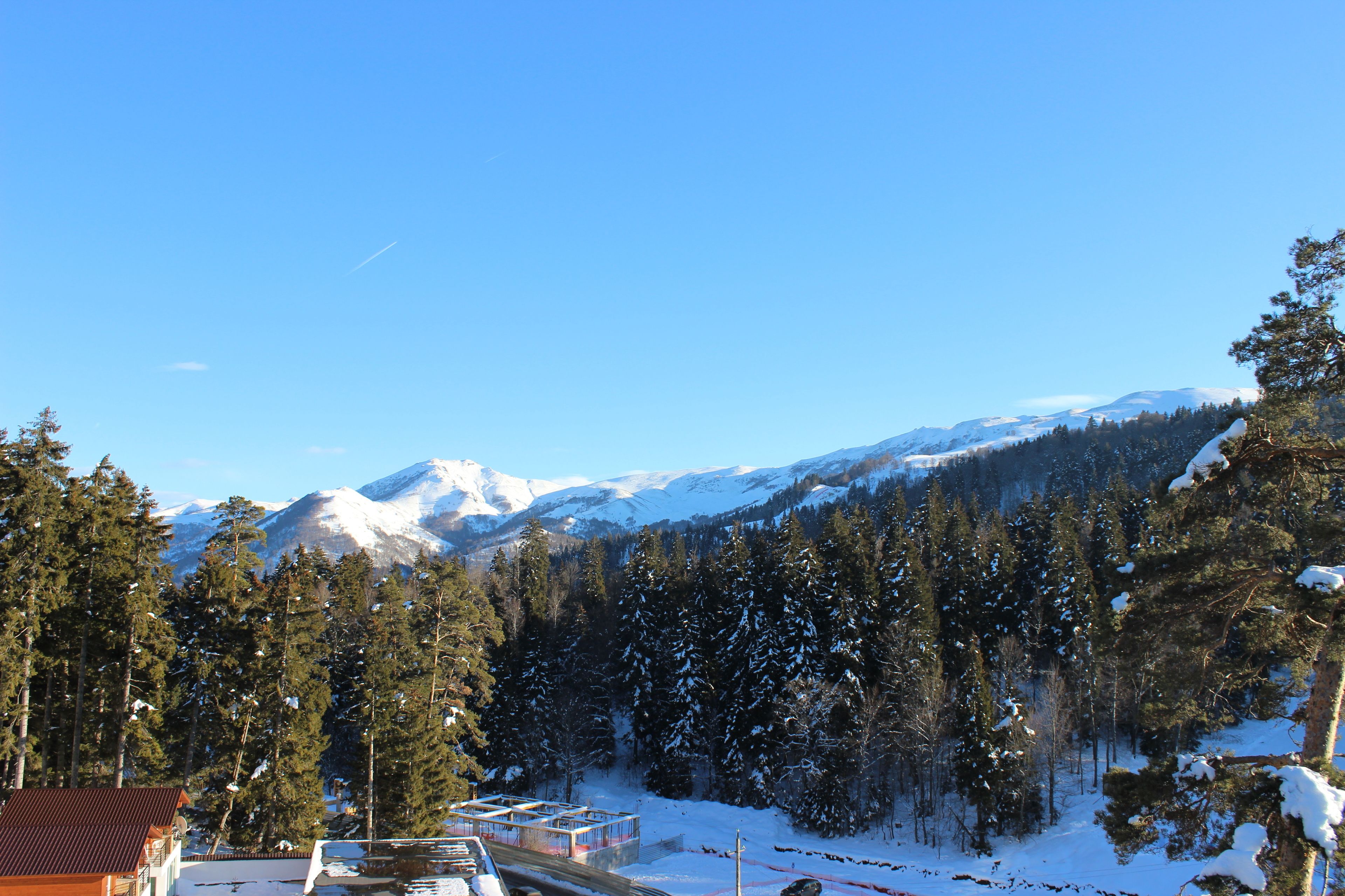 A mountainous landscape with snow-covered peaks, dense forests, and a building with a red roof.