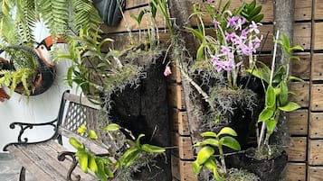 露台/庭院