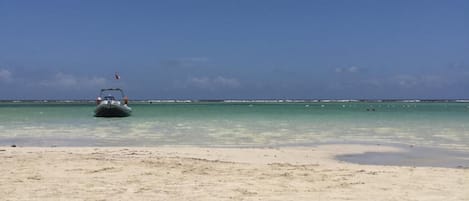 Nära stranden, vit sandstrand och sportdykning