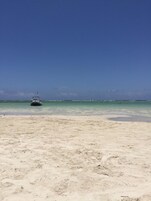 在海灘附近、白沙、潛水